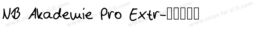 NB Akademie Pro Extr字体转换